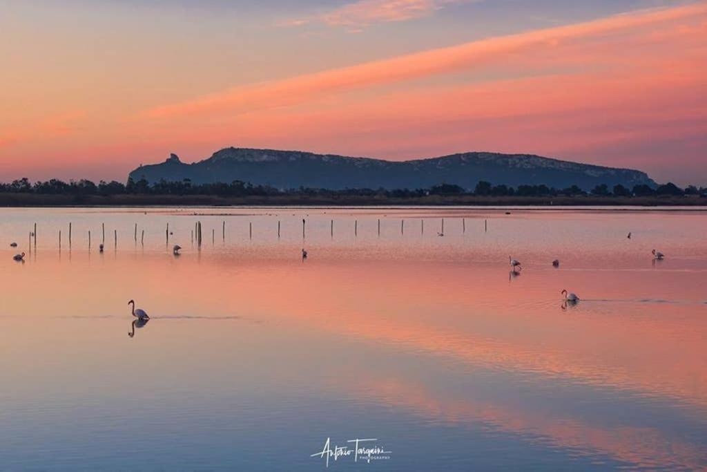 Suite Milu Кальярі Екстер'єр фото